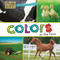 Colors on the Farm by Elizabeth Morgan, 9781502659262