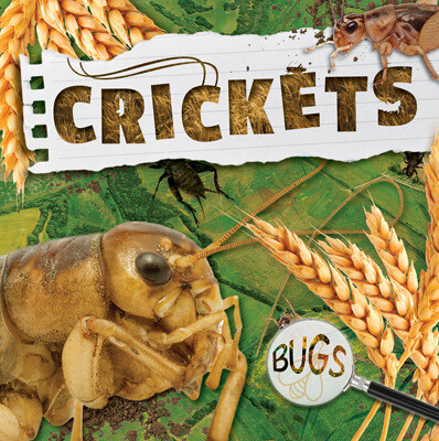 Crickets - 9781534537682 by William Anthony, 9781534537682