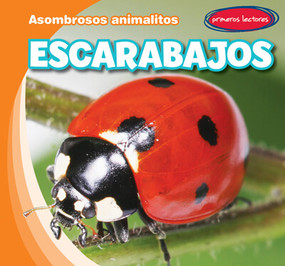 Escarabajos (Beetles) - 9781538269114 by Bray Jacobson, Diana Osorio, 9781538269114
