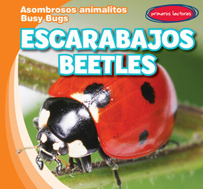 Escarabajos / Beetles by Bray Jacobson, 9781538269534