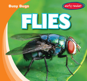 Flies by Bray Jacobson, 9781538263334