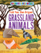 Fold Your Own Origami Grassland Animals by Ruth Owen, 9781725330955