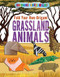 Fold Your Own Origami Grassland Animals - 9781725330979 by Ruth Owen, 9781725330979