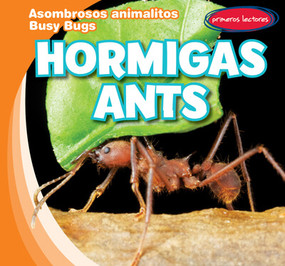 Hormigas / Ants (Bilingual Edition) by Bray Jacobson, 9781538269497