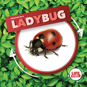 Life Cycle of a Ladybug - 9781534537965 by Kirsty Holmes, 9781534537965
