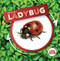 Life Cycle of a Ladybug - 9781534537965 by Kirsty Holmes, 9781534537965