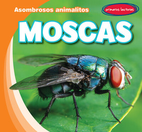 Moscas (Flies) by Bray Jacobson, Diana Osorio, 9781538269176