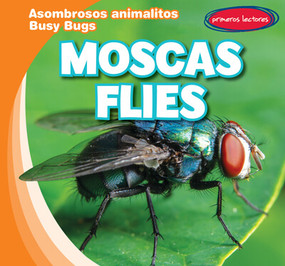 Moscas / Flies by Bray Jacobson, 9781538269572