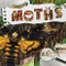 Moths - 9781534537743 by William Anthony, 9781534537743