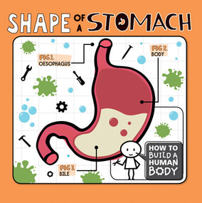 Shape of a Stomach by Kirsty Holmes, 9781978519312