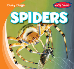 Spiders - 9781538263396 by Bray Jacobson, 9781538263396