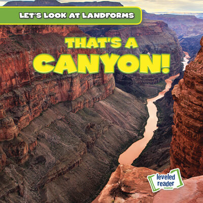 That's a Canyon! - 9781538263679 by Dwayne Hicks, 9781538263679