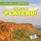 That's a Plateau! by Dwayne Hicks, 9781538263730