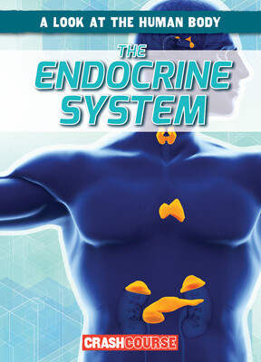 The Endocrine System - 9781538266151 by Jonas Edwards, 9781538266151