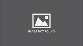 Studio Series Artist's Tiles: White (75 pack) by Peter Pauper Press, Inc., 9781441316318