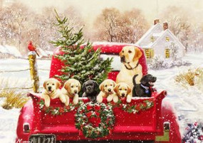 Bringing Home the Tree Deluxe Boxed Holiday Cards by , 9781441333803