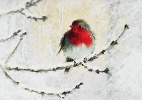 English Robin in Winter Deluxe Boxed Holiday Cards by , 9781441330468