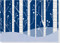 White Birches Deluxe Boxed Holiday Cards by , 9781593597115