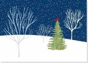 Midnight Cardinal Deluxe Boxed Holiday Cards by , 9781593597894