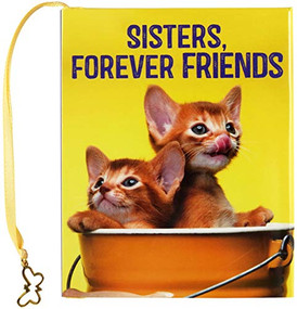SISTERS FOREVER FRIENDS by , 9781441332127