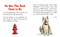 Sh*t My Dog Says by , 9781441305787