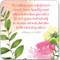 The Good Word Insight Cards by , 9781441324382