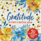 Gratitude Insight Cards by , 9781441331007
