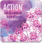 She Believed She Could Insight Cards by , 9781441324375