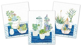 ART PRINTS SUCCULENTS by , 9781441325525