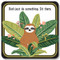 Sloths Coaster Set by , 9781441328281