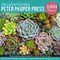 Succulent Garden 1000 Piece Jigsaw Puzzle by , 9781441334961