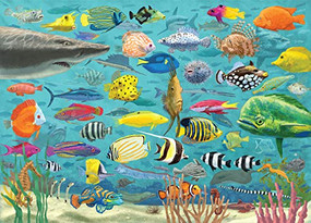 PUZZLE ALL THE FISH by , 9781441336903