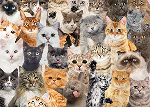 PUZZLE ALL THE CATS by , 9781441334947