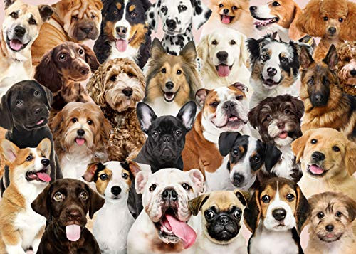 PUZZLE ALL THE DOGS by , 9781441333919