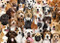 PUZZLE ALL THE DOGS by , 9781441333919