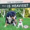 Which Is Heavier? by Jagger Youssef, 9781538254943