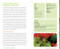 My Vegan Recipe Journal by , 9781441305237