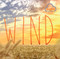 Wind - 9781978520660 by Harriet Brundle, 9781978520660