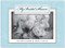 MY BRIDAL SHOWER R/K (BLUE) by , 9781441305602