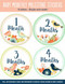 Birds Baby's Monthly Milestone Stickers by , 9781441321398