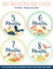 Birds Baby's Monthly Milestone Stickers by , 9781441321398