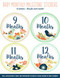 Birds Baby's Monthly Milestone Stickers by , 9781441321398