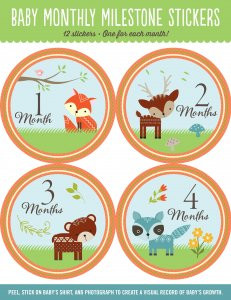 Woodland Friends Baby's Monthly Milestone Stickers by , 9781441321381