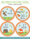 Woodland Friends Baby's Monthly Milestone Stickers by , 9781441321381