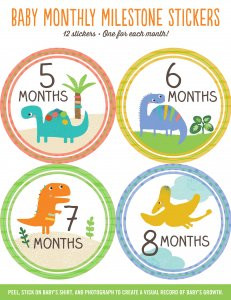 Dinosaurs Baby's Monthly Milestone Stickers by , 9781441321626