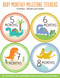 Dinosaurs Baby's Monthly Milestone Stickers by , 9781441321626
