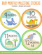 Dinosaurs Baby's Monthly Milestone Stickers by , 9781441321626