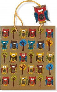 Owls Gift Bag by , 9781441302748
