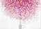 Lollipop Tree Note Cards, 9781441315137