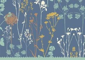 NOTE CARD TWILIGHT GARDEN by , 9781593592783